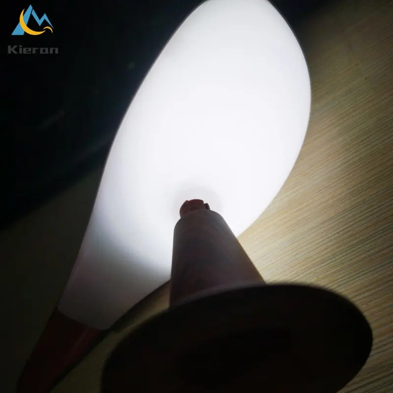 Lámpara Led nórdica moderna de Urraca para escritorio, lámpara de noche para dormitorio, estudio, sala de estar, decorar lámparas de pie táctiles para pájaros, lámpara de aromaterapia para coche
