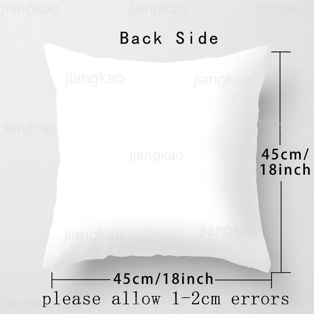 Personalized Pillow Case rainbow Animal with Name Pillow Cover Kids Bedroom Wild Party Decor Pillowcase kid Birthday shower Gift