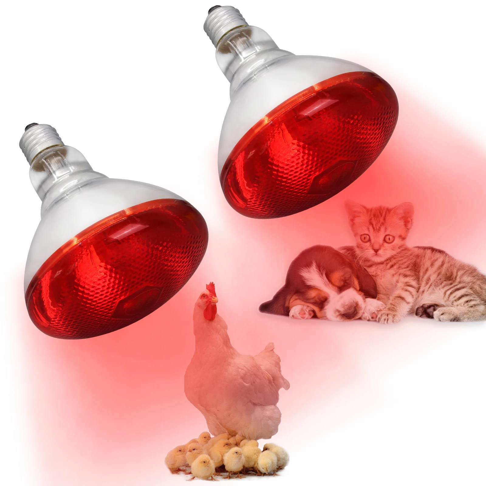 Lampa grzewcza na podczerwień dzień/noc 100W/150W/200W/250W/275W Czerwona żarówka grzewcza do kurnika, kurnika, kurcząt, węży, żab, gadów, zwierząt domowych