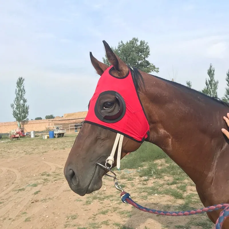 Horse Fly Mask Harness อุปกรณ์ฝาครอบม้า Windproof Eye Mask Speed Race Goggles Horse Head Cover อุปกรณ์ขี่ม้า