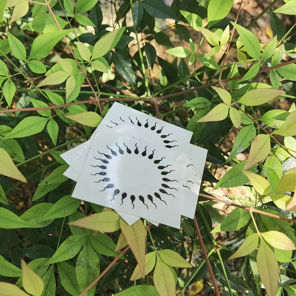 Временные татуировки сосков, Временная татуировка для взрослых