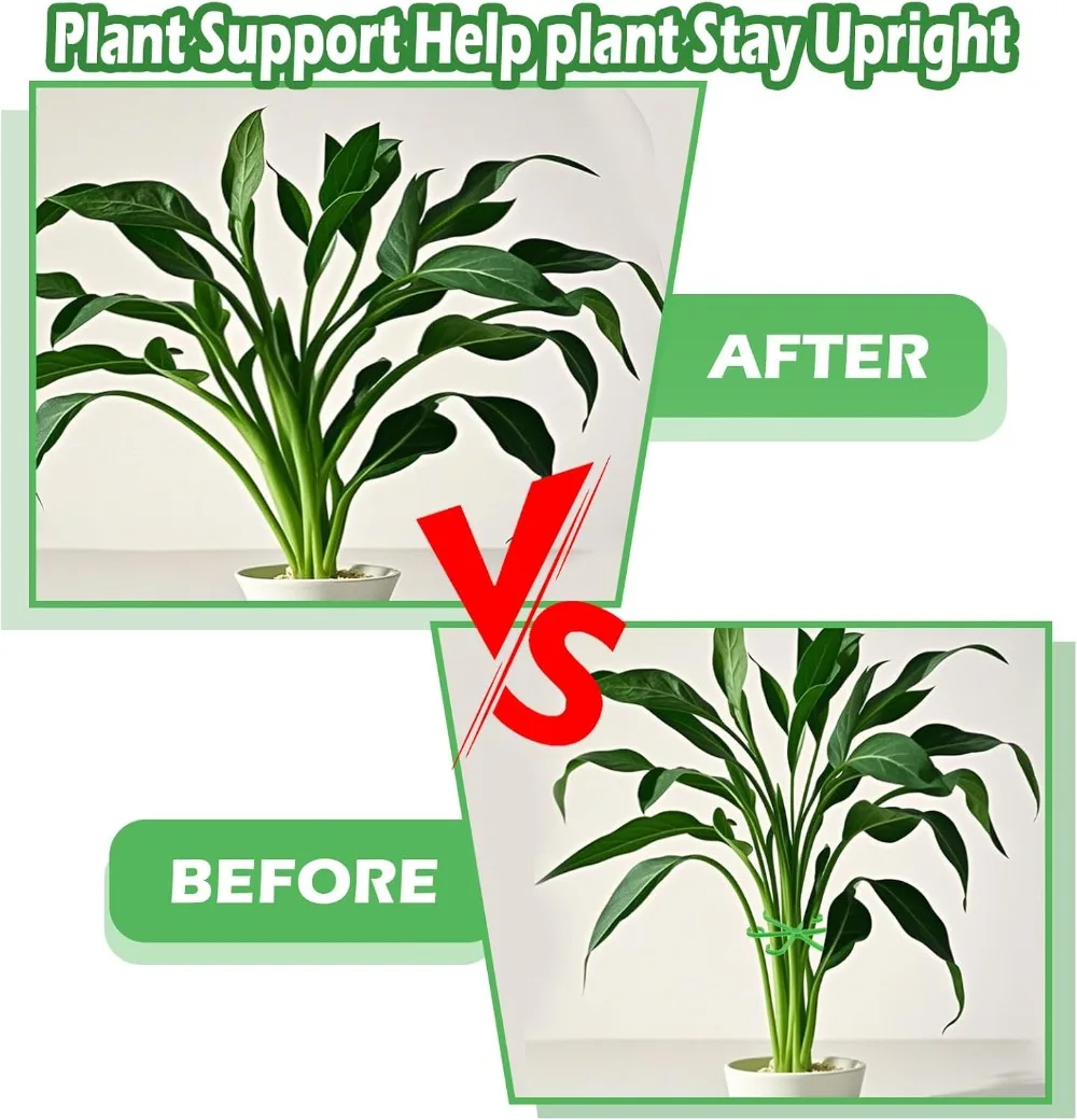 ดอกไม้StemสนับสนุนStakesปีนเขาHouseplantขาตั้งกรอบสวนพลาสติกไม่มีStake Trellisในร่มHolder Rack Hoops
