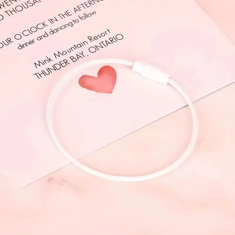 10 Stück bunte Gepäckanhänger-Clips aus Edelstahldraht, langlebig und einfach zu installieren, perfekt für Reisen und den täglichen Gebrauch