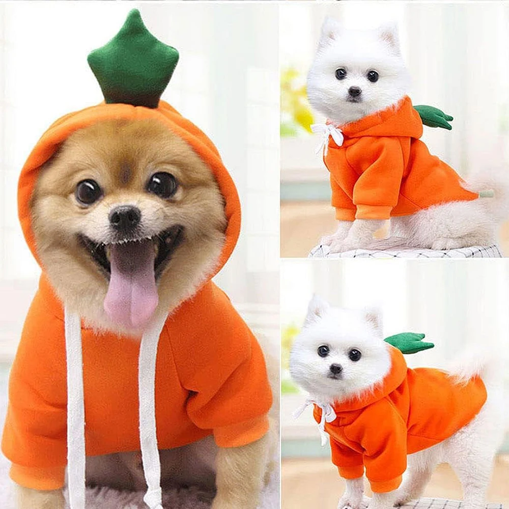 Sudadera con capucha para perro y gato, ropa divertida para mascotas, abrigos con sombrero, disfraz de Halloween, Sudadera con capucha para cachorros y gatos