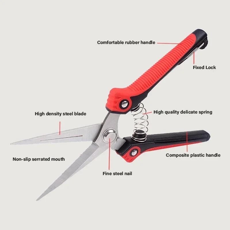 Stainless Steel Pruning Shears Sharp Branch Scissors with Non Slip Handle for Garden Fruit Tree Trimming Tools