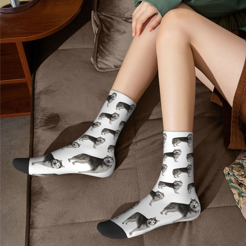 Kaus Kaki Husky Siberia Lucu Kaus Kaki Basket Olahraga Anjing Alaska Gambar Cetak 3D Hangat Pria Wanita