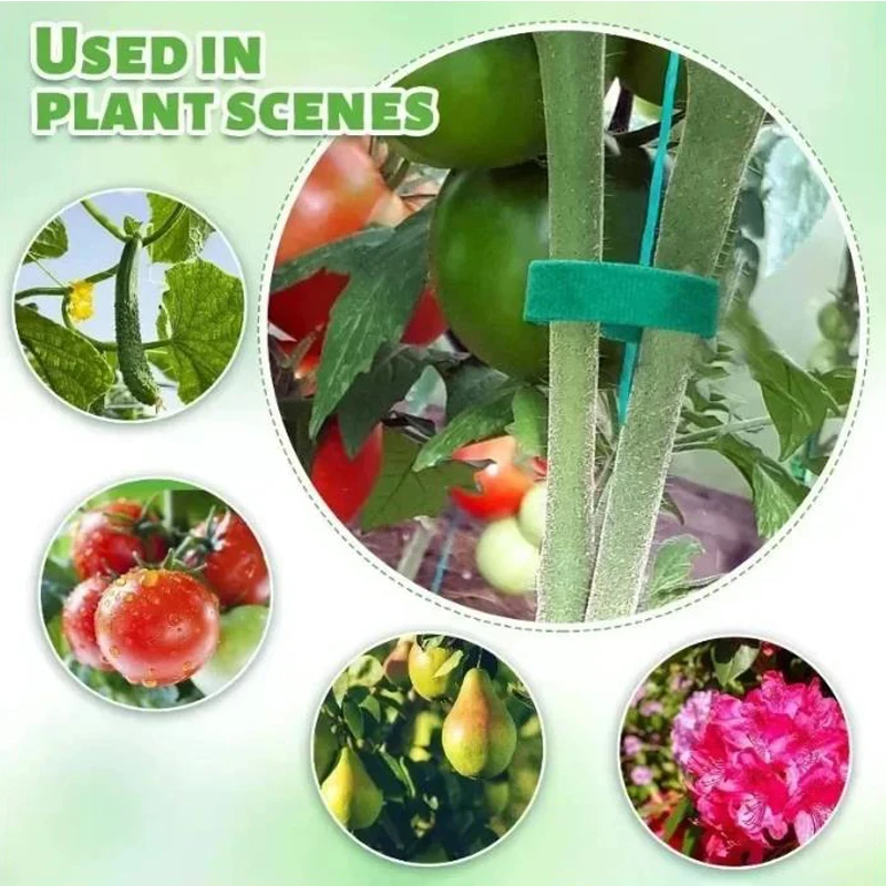 Nylon Plant Bandage Hook Loop Ties vine fixed clips Adjustable Green Fastener Tape Bamboo Cane Wrap Support Garden Accessories