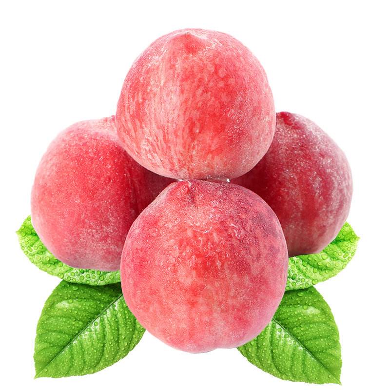 prueba del producto hscode