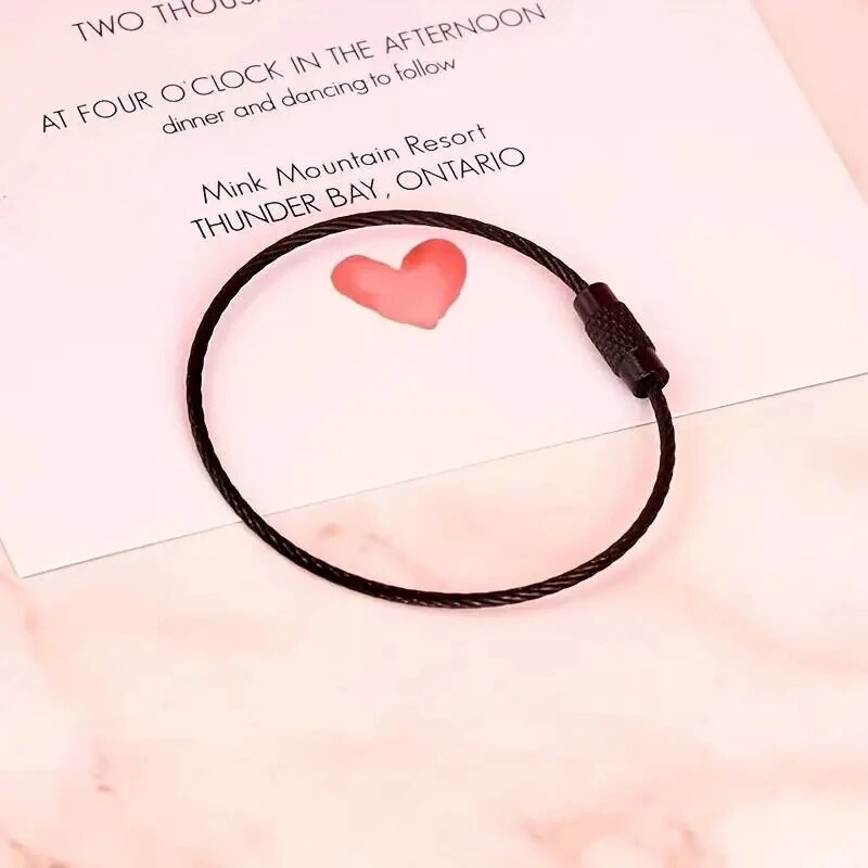 10 Stück bunte Gepäckanhänger-Clips aus Edelstahldraht, langlebig und einfach zu installieren, perfekt für Reisen und den täglichen Gebrauch