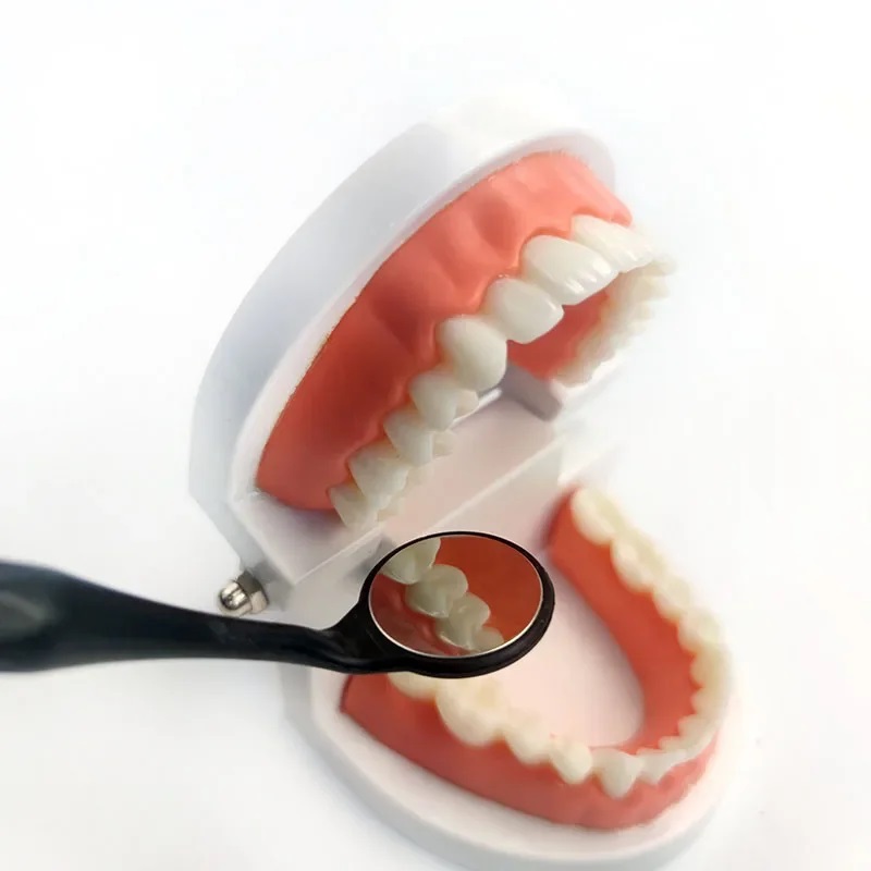 歯科用両面口腔ミラー,歯科治療用レンズ,証拠ツール,防曇調査ツール,ステンレス鋼,134 ℃,ボックスあたり10個