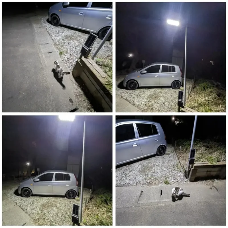 250W พลังงานแสงอาทิตย์ไฟกันน้ํากลางแจ้ง 8000LM ไฟ LED น้ําท่วม Motion Sensor พร้อมรีโมท 3 โหมดโคมไฟถนนสําหรับ YARD Garden PATH