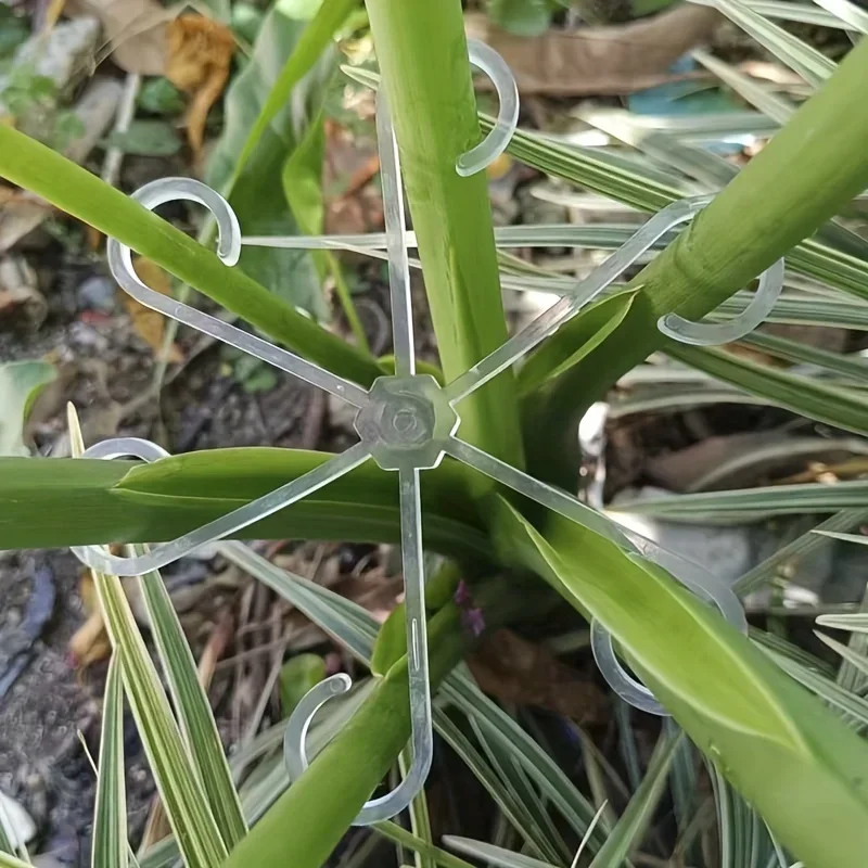 4 Plastic Plant Support Clips, Transparent Green Vine Climbing Frame, Adjustable Plant Stem Clips for Fixing and Upright Growth