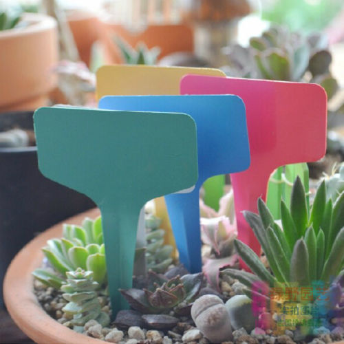 50/100 個白いプラスチック PVC 植物 T 型タグマーカー保育園庭ラベル苗トレイポット装飾 6x10cm