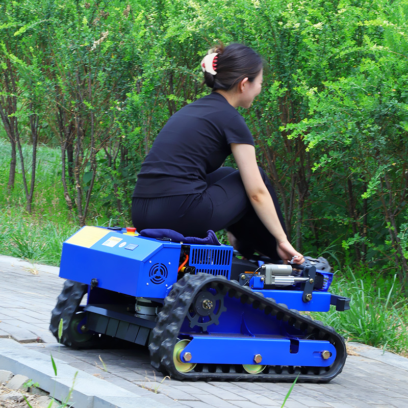 Aangepaste fabriek goedkope prijs grasrobot hellingrups grasmaaier met afstandsbediening met CE EPA-certificaat