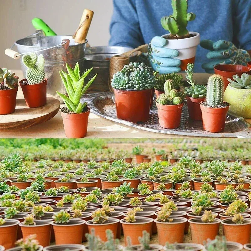 75Pcs 유연한 식물 보육 냄비 씨앗 시작 냄비 즙이 많은 묘목 절단 이식을위한 플라스틱 꽃 식물 컨테이너