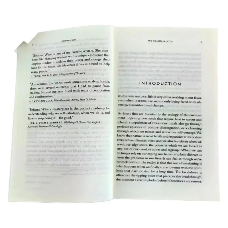 The Mountain Is You: Transforming Self-Sabotage in Self-Mastery Englisch Bücher Geburtstagsgeschenke