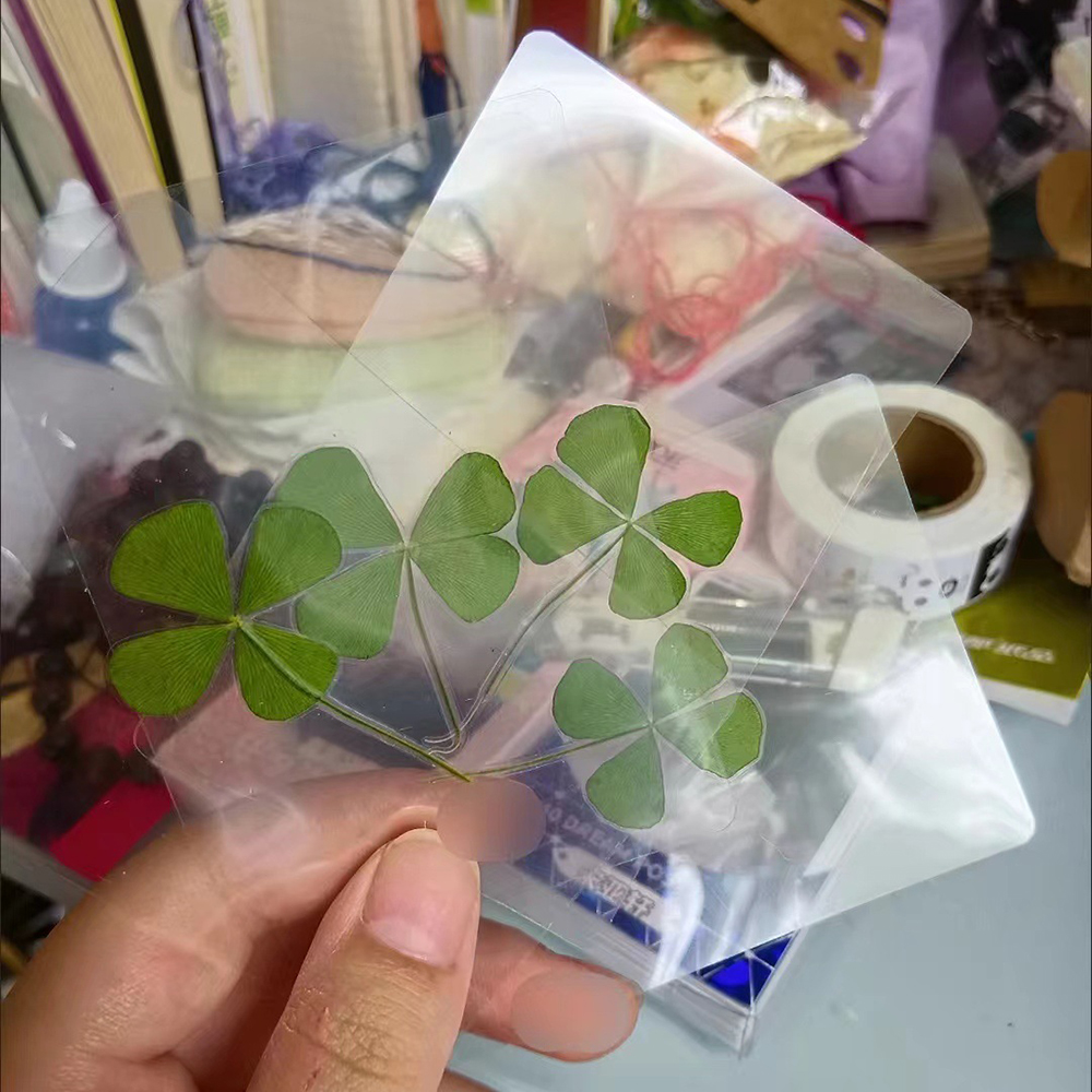 5PCS/10pcs Lucky Four-Leaf Clover Natural Original Grass Transparent Card Bookmark Wishing Simple Style Transparent Card