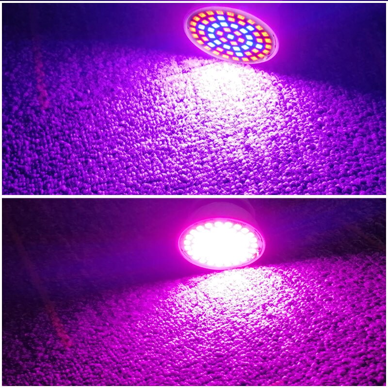 220v e27 60led植物栽培ライトフィトランプLEDフルスペクトル成長球根温室水耕栽培成長fitolampy
