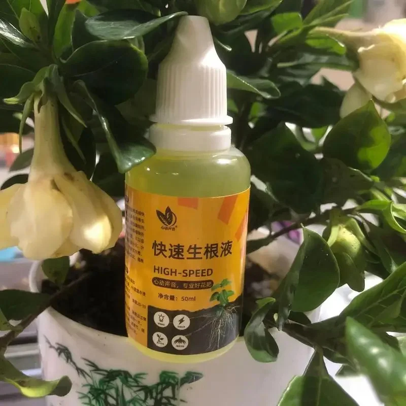 Estimulador de plantas líquido agente de enraizamiento rápido plantas suplemento nutritivo fertilizante potenciador de semillas promotor de crecimiento