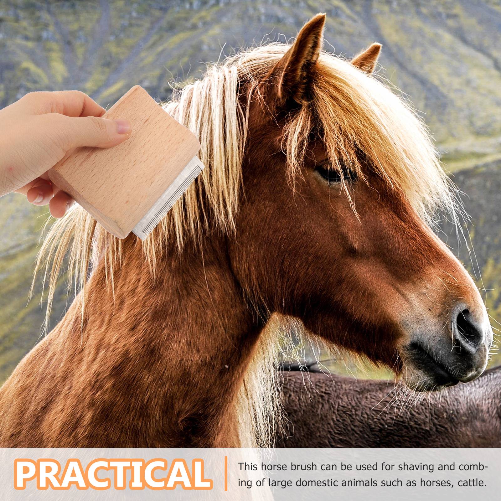 Escova para remoção de pelos de animais de estimação, ferramenta para limpeza de cavalos, pente raspador de gado, cerdas de madeira, pentes a vácuo, produtos para cuidados com cavalos