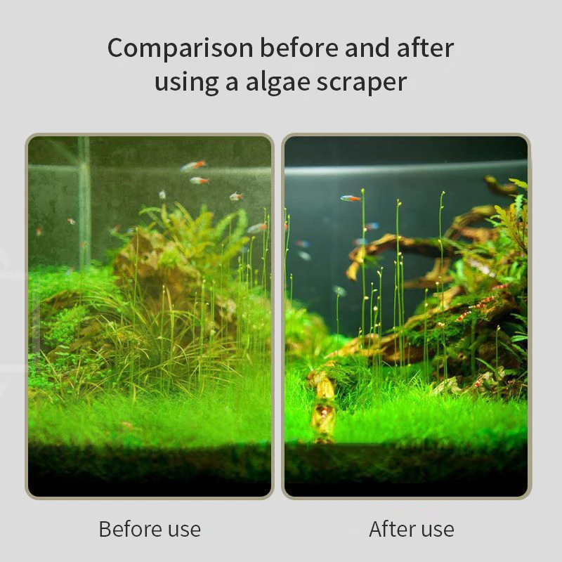 Escova para tanque de peixes, cabo longo, escova de limpeza dupla face, ferramentas de limpeza de aquário