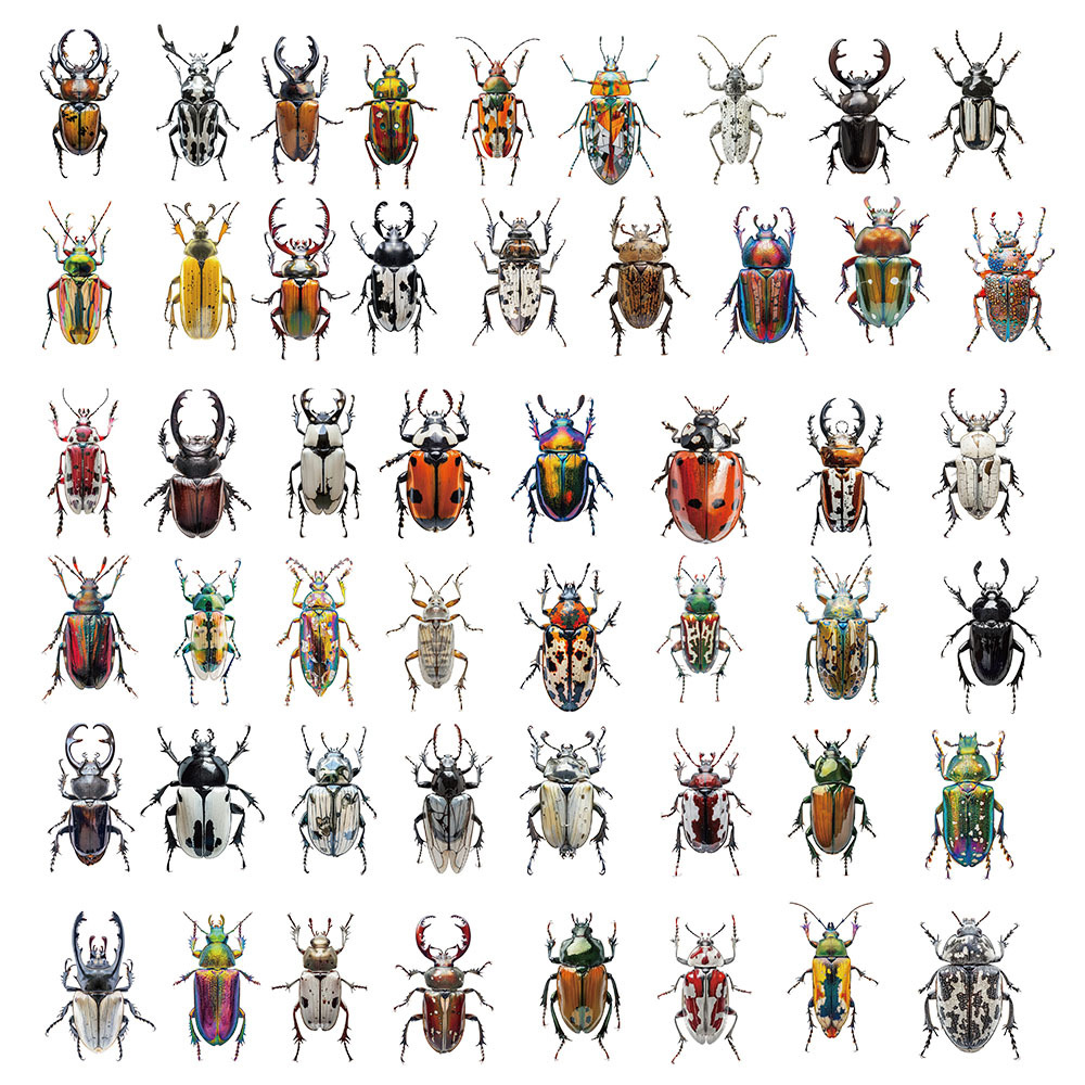 10/30/50 個透明かわいい漫画昆虫カブトムシステッカー子供のおもちゃ DIY 荷物ラップトップ電話ケースバイククール落書きステッカー