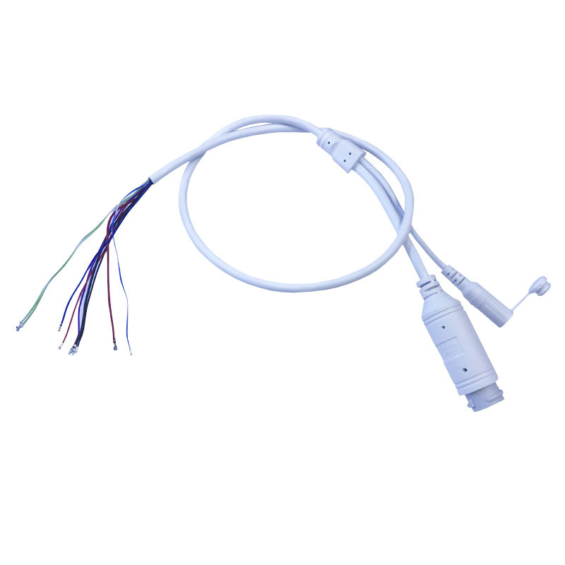 48V zu 12V PoE Kabel Mit DC Audio IP Kamera RJ45 Kabel gebaut in PoE modul Für CCTV IP Kamera