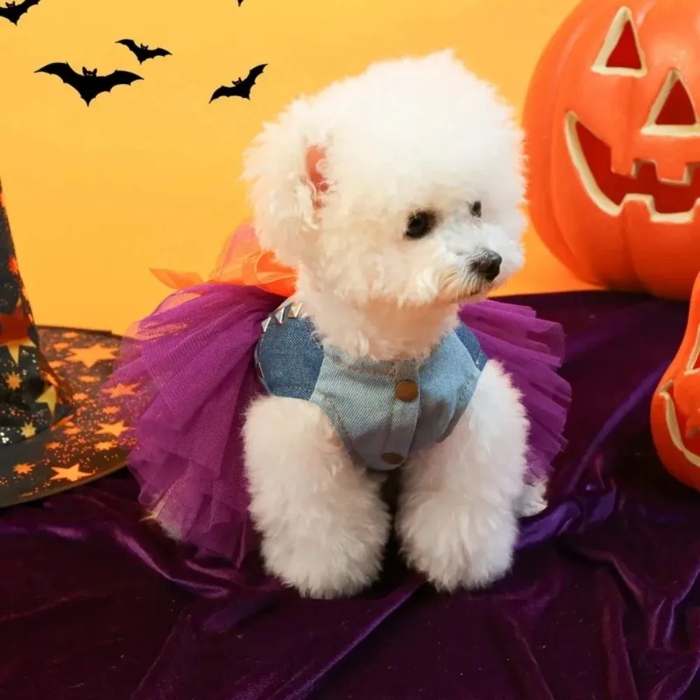 Gaun Halloween Anjing Labu Lembut Ukuran Chihuahua Rok Renda Pola Lucu Menggemaskan Pakaian Anjing Kecil Cosplay Pesta