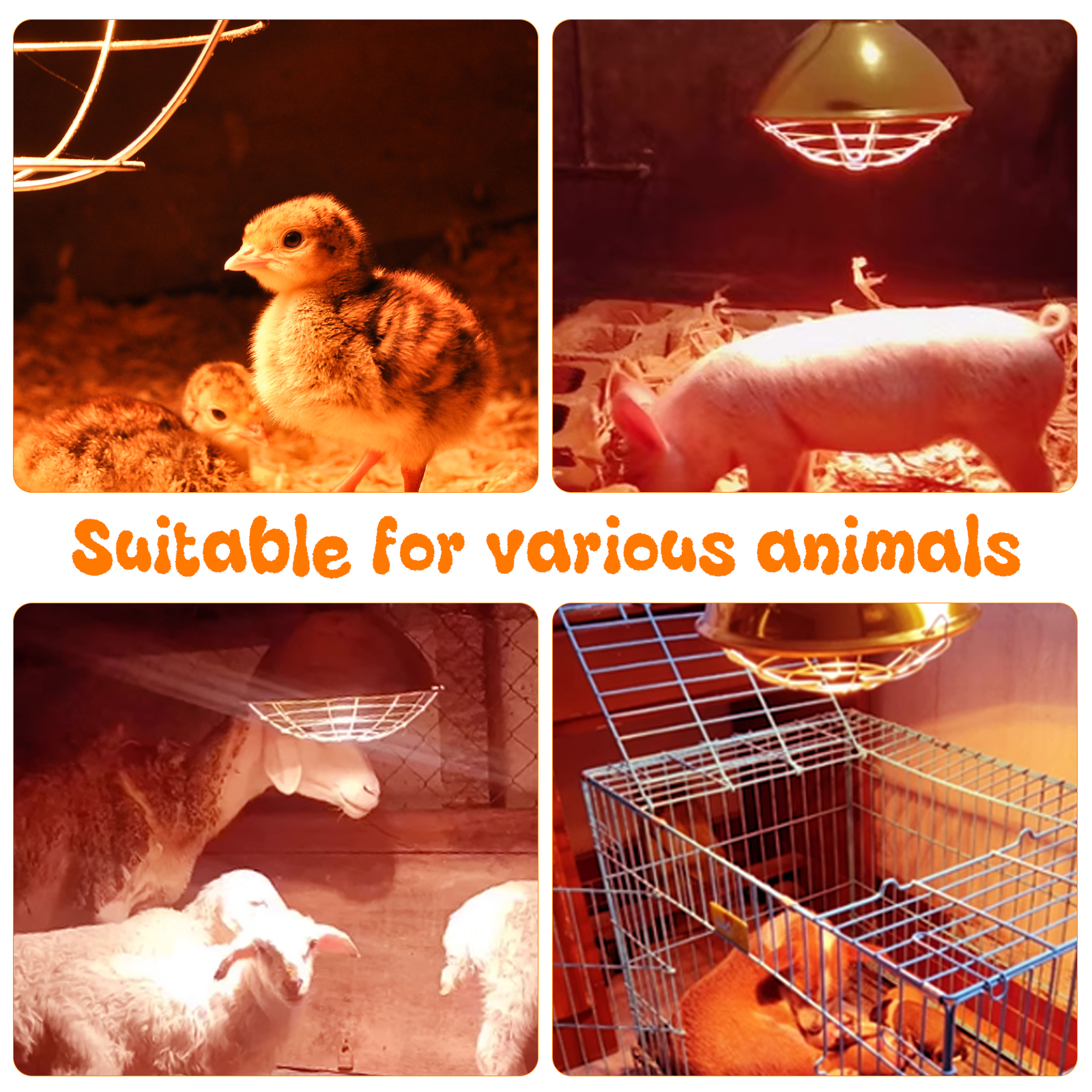 Lâmpada de calor para galinheiro, altura de suspensão ajustável, à prova d'água, para ambientes internos e externos, usada para anfíbios, pintor, pato, plugue UE