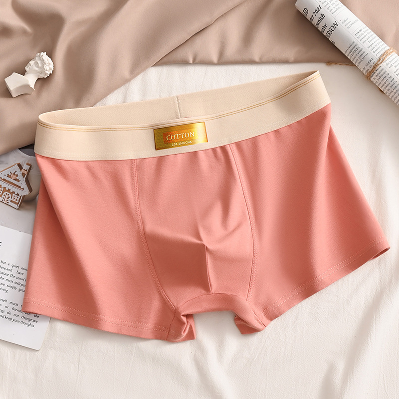 3 pezzi biancheria intima da uomo boxer in cotone hombre mutandine uomo mutande traspiranti sport sexy comfort boxer maschili di grandi dimensioni L-6XL