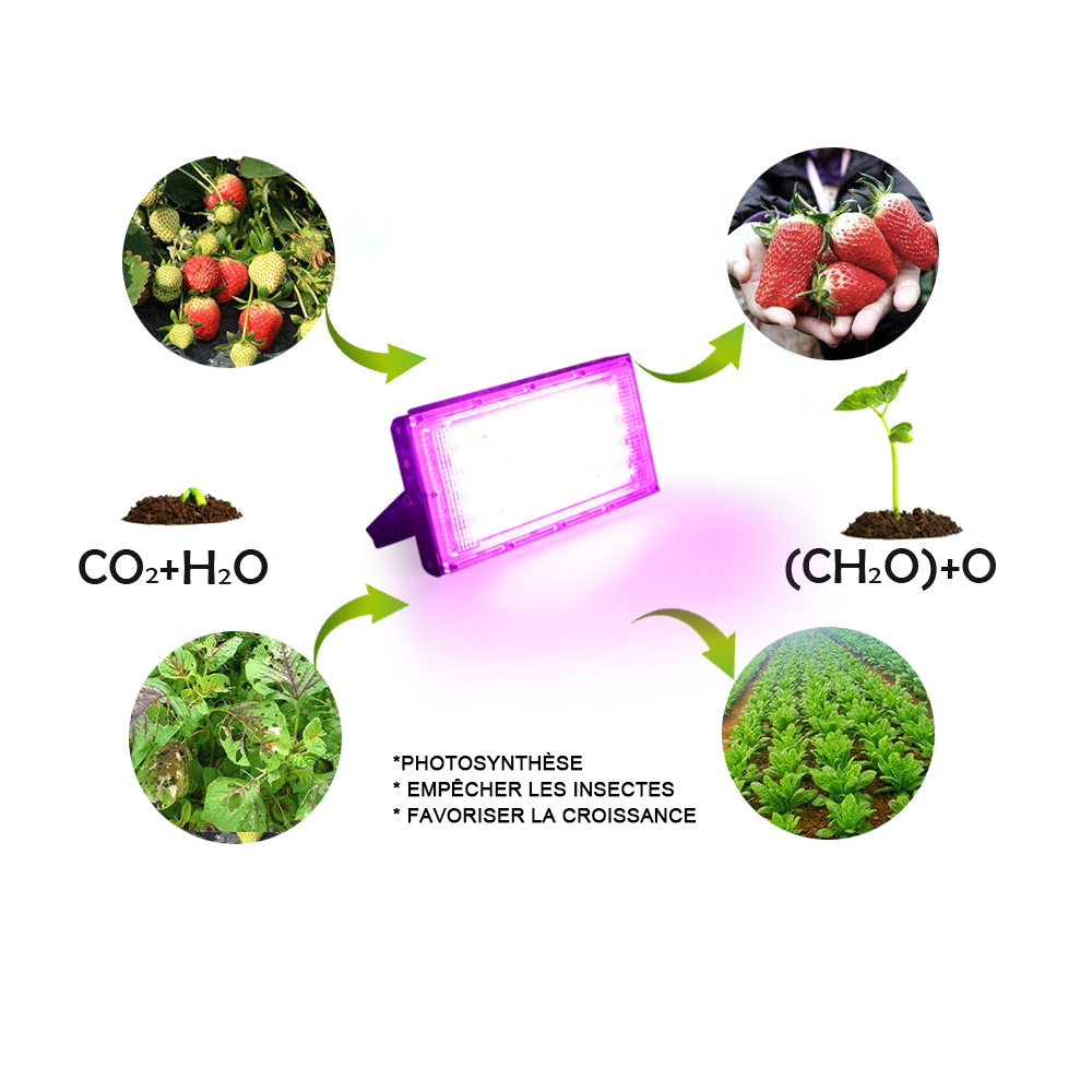 Puce Lumineuse de Croissance LED Complète SMD2835 50W, Éclairage à Large Faisceau pour Plantes, Tente Intérieure, Boîte, Lampe pour Fleurs, DIY