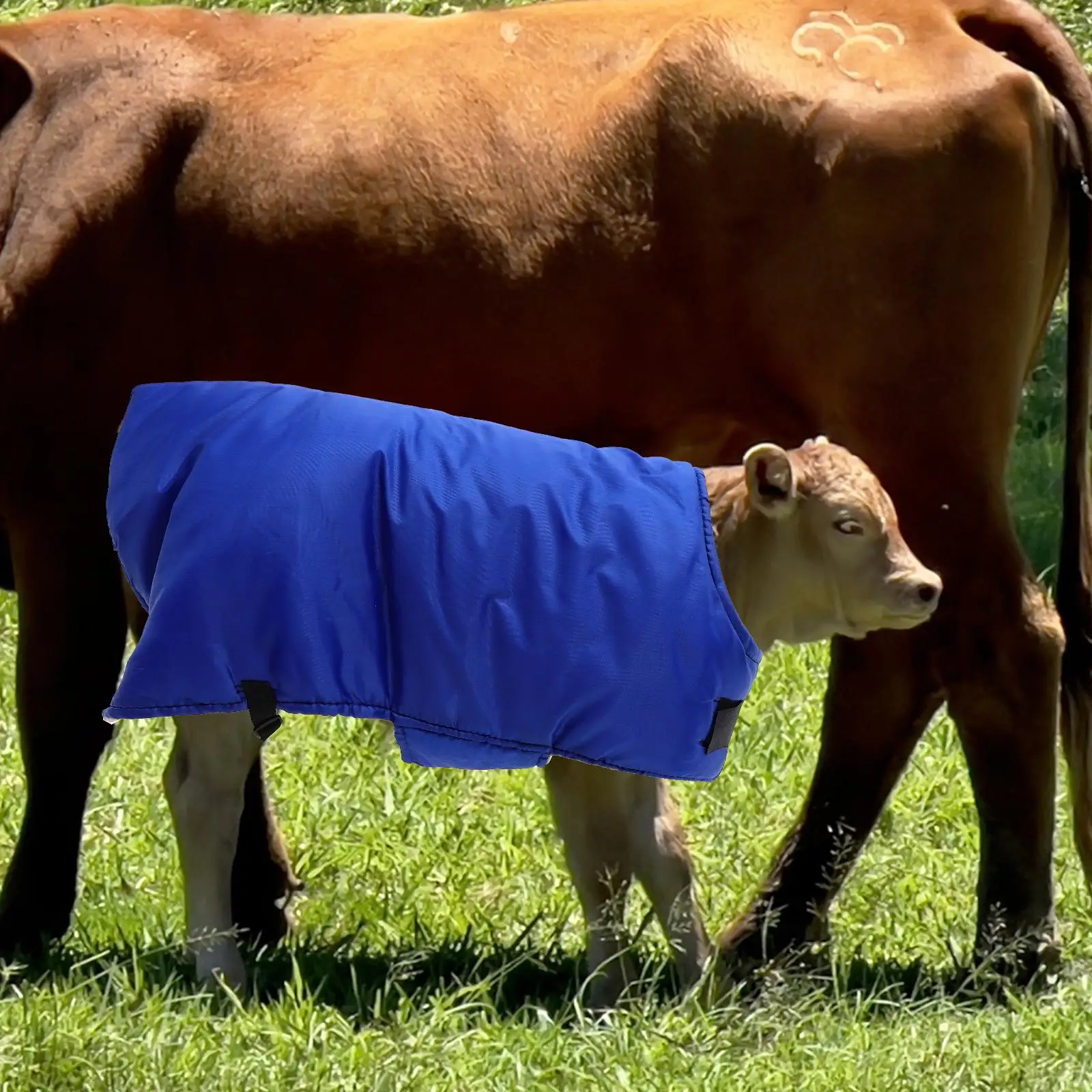 Wadenweste, wasserdicht, warmer Ziegenmantel, Winterkleidung, Ranch-Kleidung, Kuh, Weide-Zubehör, Bekleidung, Fleecedecke