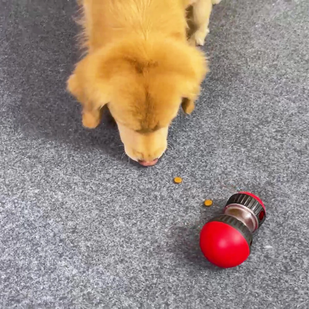 Hondenspeelgoed voor kleine, middelgrote en grote honden Katten Slow Feeder Huisdier Verbeter IQ Indoor Training Puppyspeelgoed Chihuahua Beagle Dierbenodigdheden