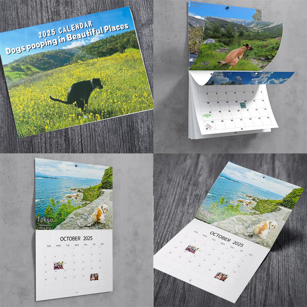Calendrier mural pour chiots qui font caca de beaux endroits, calendrier mural pour chien drôle, Art mural, Gag, cadeau d'anniversaire, Chris, 2025