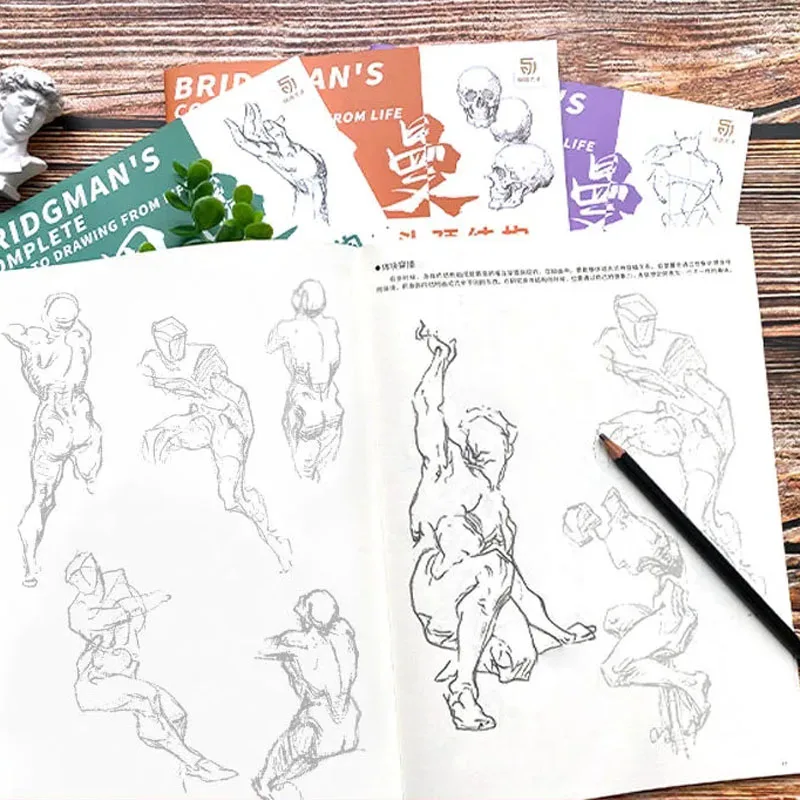 Guía completa de Bridgman para dibujar desde la vida, bocetos de rastreo, libro Tutorial pintado a mano, copia de línea de práctica, libros de práctica de borrador