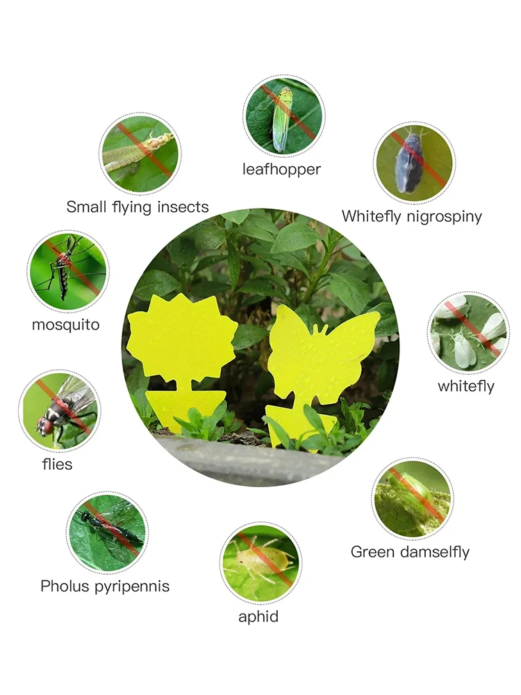 36 peças/set de armadilhas de insetos amarelas, armadilhas de flores de jardim, armadilhas para eliminar pragas, pequenos insetos voadores, pequenos voadores pretos