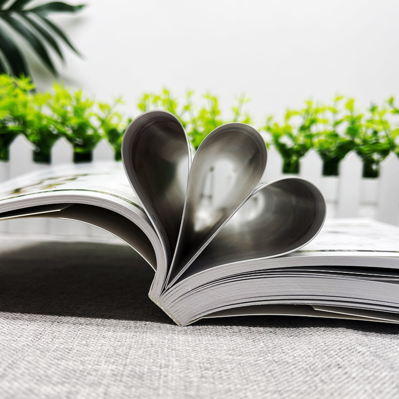 【ベストセラーブランド Bai Bu962.1万点】本物の鉱物と岩石の完全図鑑231Minerals and49Boo