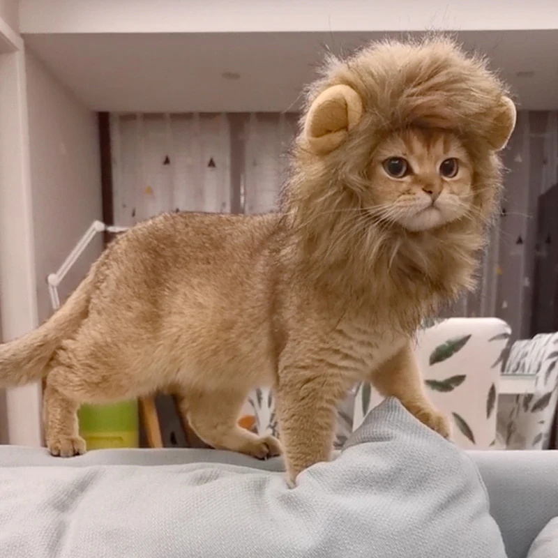 Peluquín para mascotas: tocados humorísticos de melena de león para perros y gatos, accesorios de disfraz ajustables para disfraces y juegos divertidos
