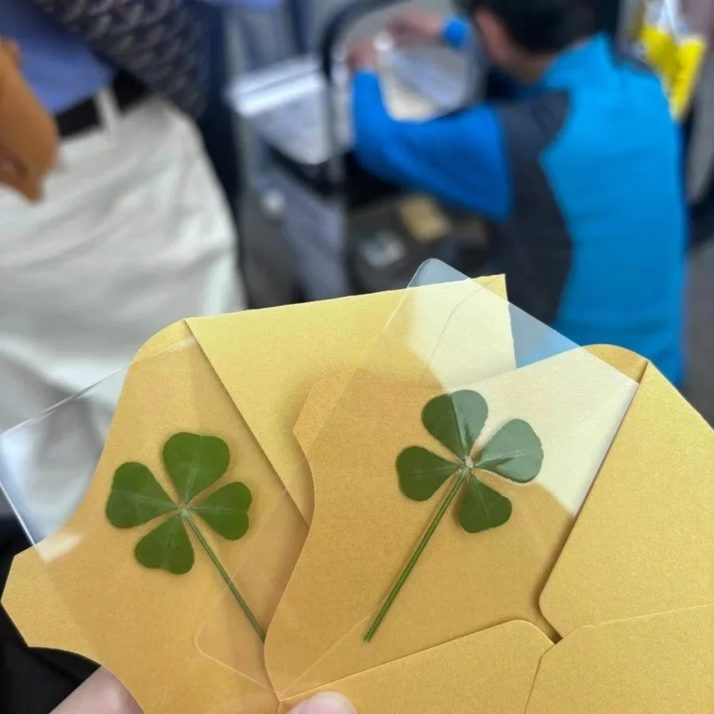 5 cartoline Lucky Clover, biglietti dei desideri trasparenti in erba, ideali per segnalibri e decorazioni, regali festivi perfetti