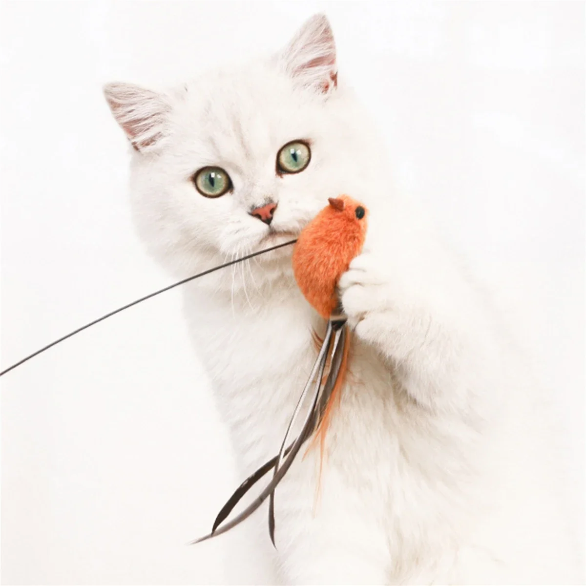 จําลองนกแมวของเล่นอัพเกรดอีพ็อกซี่ Sucker ลวดเหล็กยาว Rod Feather Cat Teasing Stick Cat Self Hi ไม่มีส่วนผสมที่เป็นอันตราย