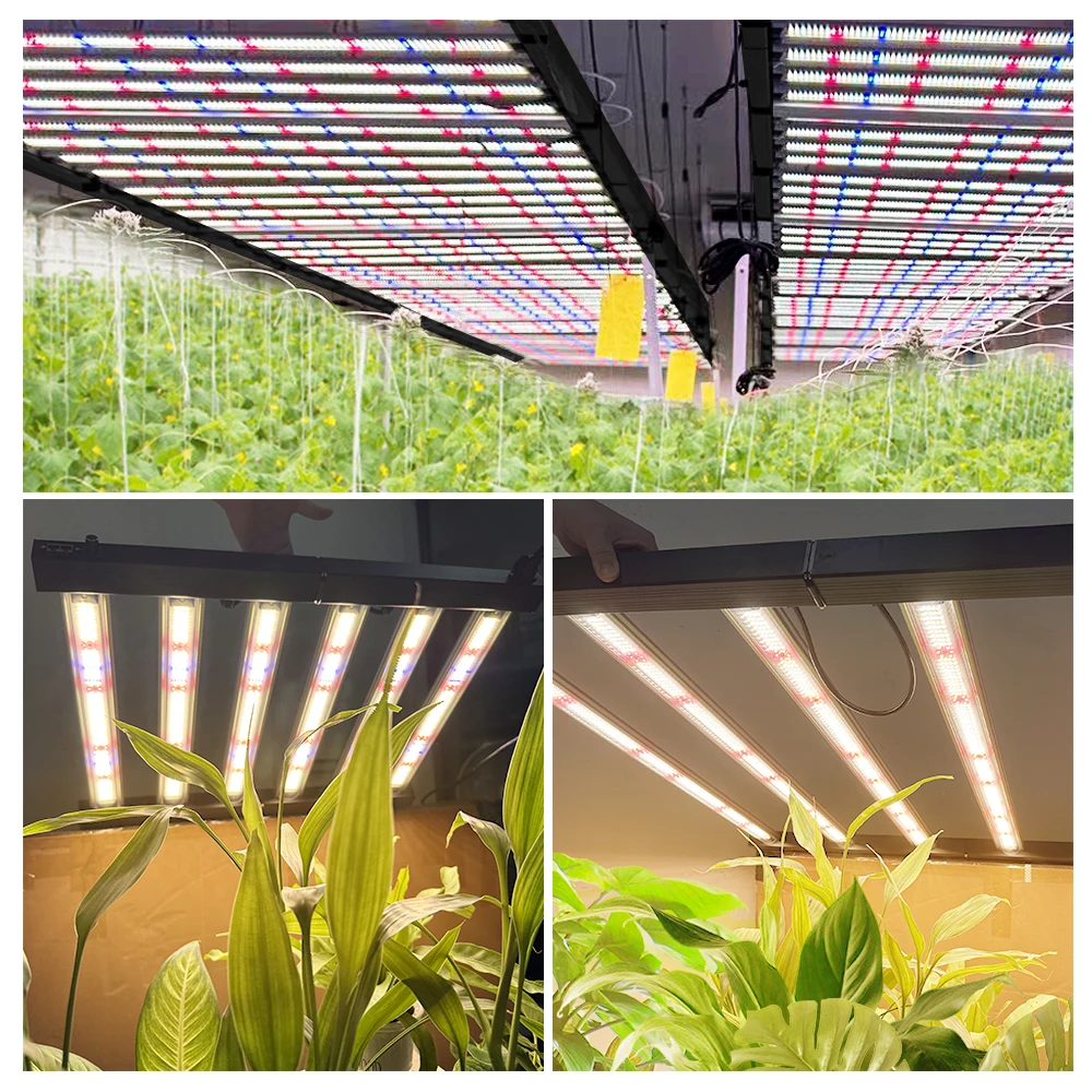 720 W LED-Wachstumslicht mit vollem Spektrum LM281B mit UV-IR-Phytolampe 1280 PPFD für das Pflanzen von Indoor-Wachstumszelt