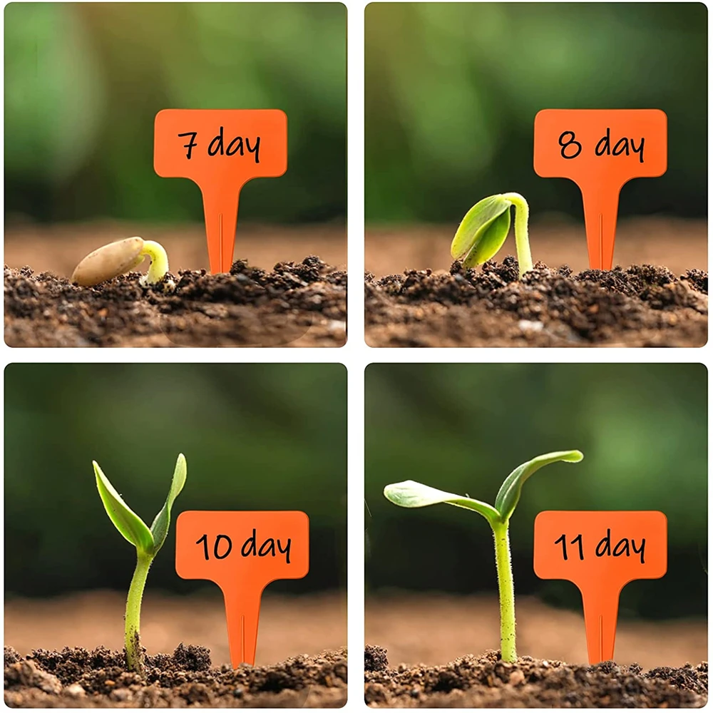 10 センチメートル植物ラベルペン T 字型 30 個プラスチック防水保育園ラベル植物マーカーガーデンツール苗用