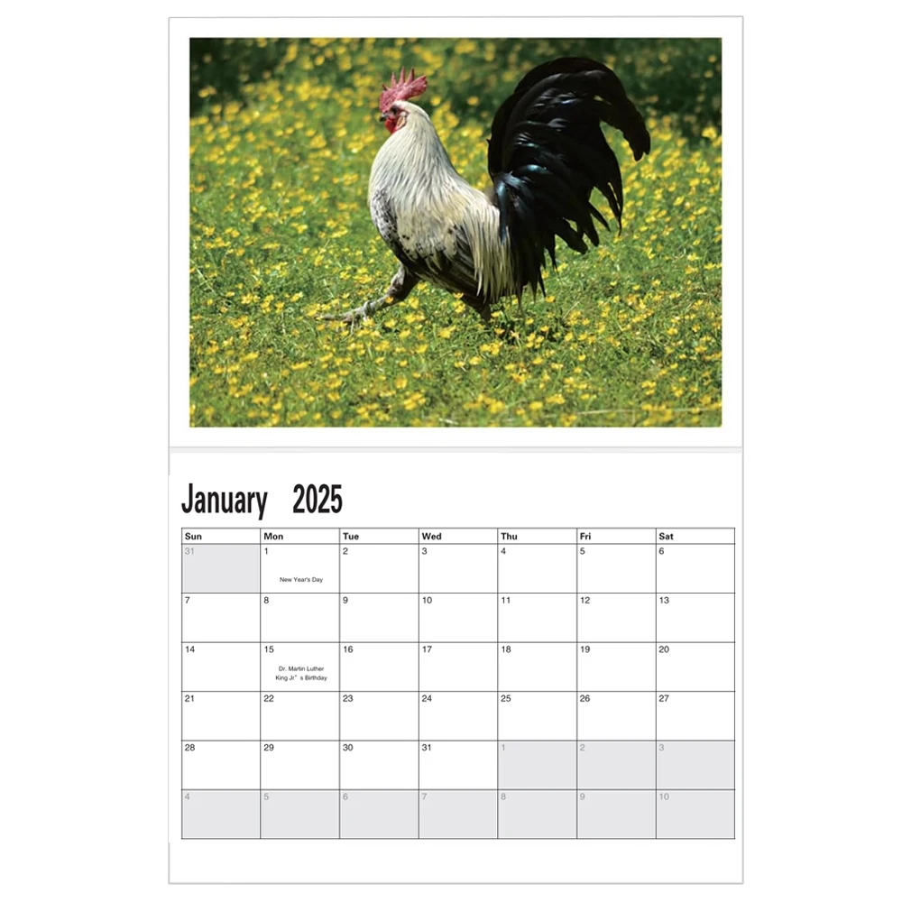 ปฏิทินไก่ใหญ่ปี 2025, การถ่ายภาพสัตว์ป่าที่สดใส, ปฏิทินติดผนัง 12 เดือน, ของตกแต่งบ้านสํานักงาน, ผู้ที่ชื่นชอบสัตว์, กระดาษ, E