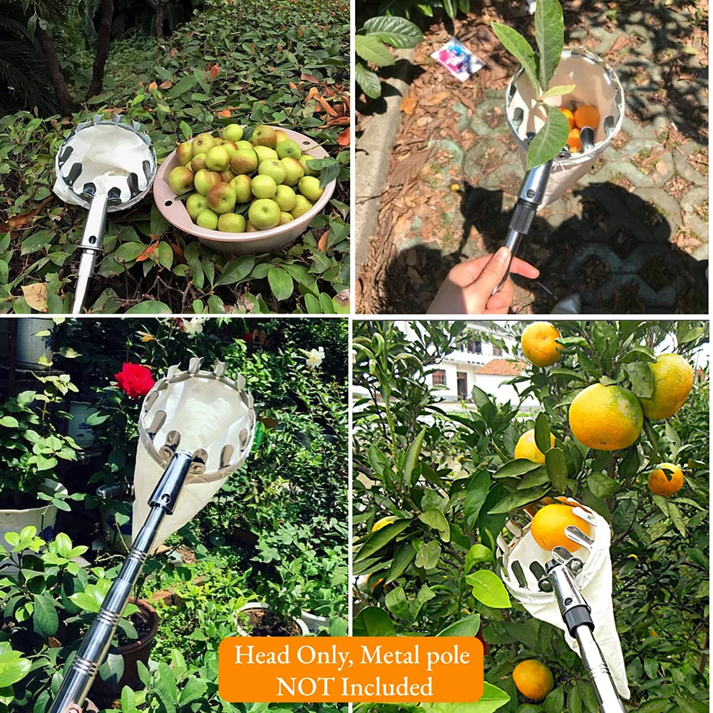 1 PC ผลไม้ Picker เครื่องมือ,โลหะเชอร์รี่ Picker เครื่องมือ,ผลไม้ Picker ตะกร้าหัว, ผลไม้ Harvester สิ่งที่แนบมาสวนเครื่องมือฮาร์ดแวร์