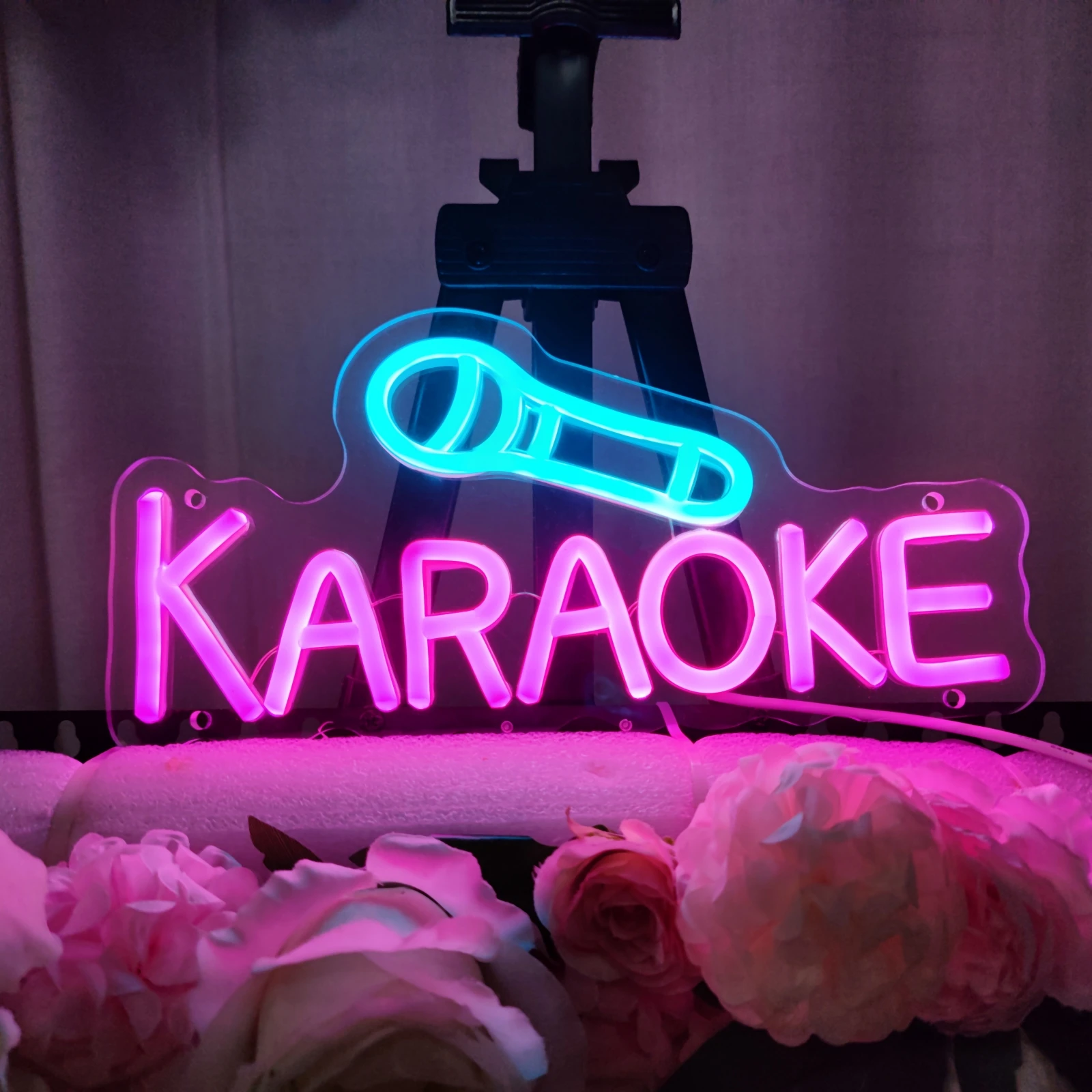 Insegne luminose al neon a LED per karaoke Party Bar Studio Atmosfera Luce Insegne luminose Studio Luce a LED DJ Decorazione da parete Luci notturne al neon
