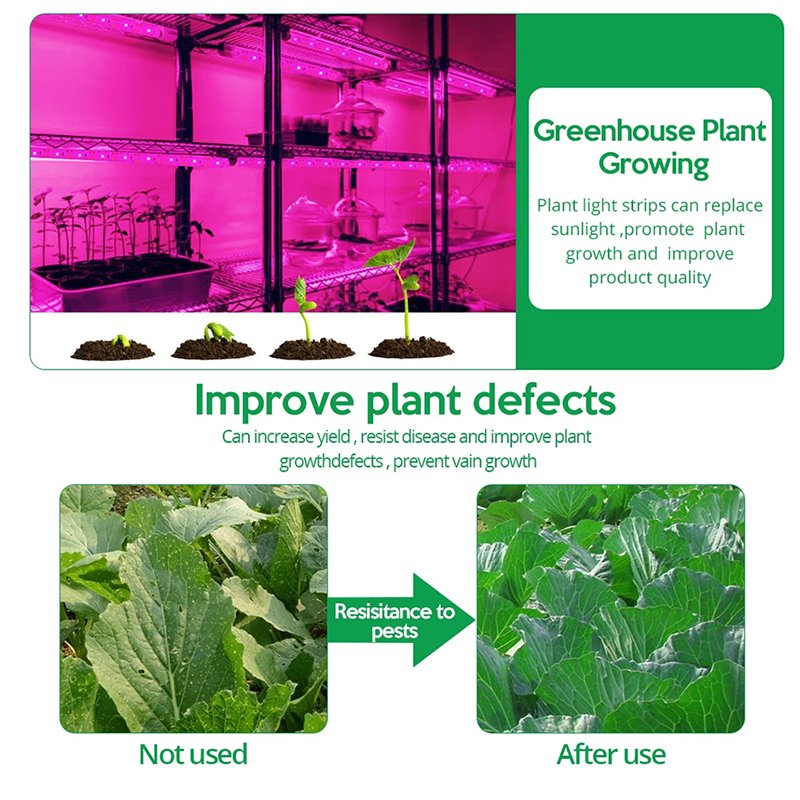 5v usb led planta crescer luz espectro completo phyto lâmpada 1m 2m 3m tira para sementes flor estufa tenda plantas hidropônicas iluminação