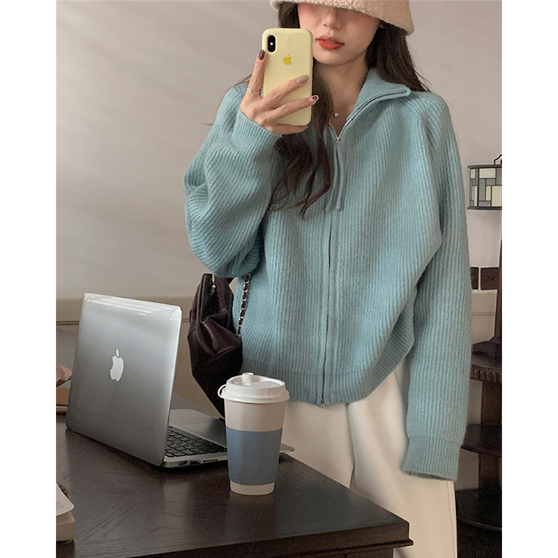 Elegant Purple Knitted Open Cardigan Sweater Thickened Zipper Collar Women's Spring Autumn New Sle Comfortable Long Sleeve Top