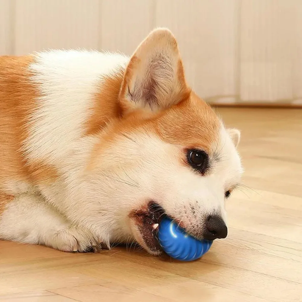 New 1pc Automatic Moving Dog Toy Ball Material Safety Smart USB Jumping Rotating Interactive Puppy Chew Toy Ball Pet Products