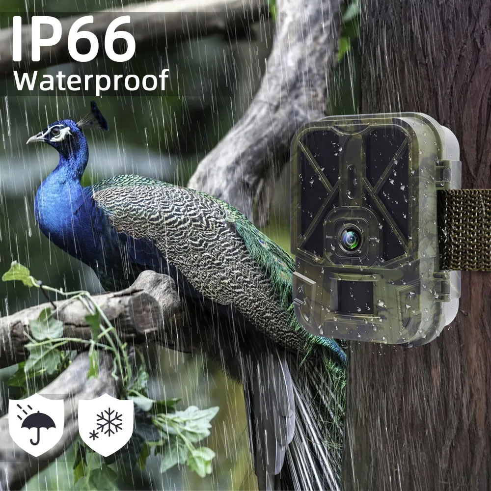 4k 30mp transmissão ao vivo wifi trail câmera app bluetooth câmeras de caça com 10000mah li-bateria visão noturna wifi940prooli
