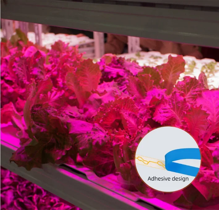 Lâmpada led para cultivo em estufas e hidropônicos, luz com espectro completo, usb, chip phyto 0.5m, 1m, 2m, 2835
